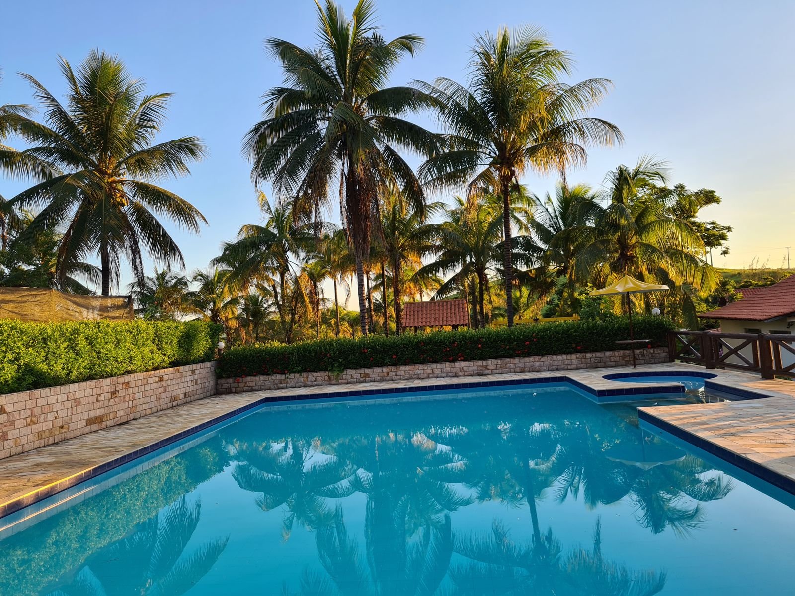 Piscina ao entardecer entre coqueiros